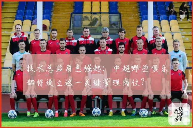 技术总监角色崛起：中超哪些俱乐部将设立这一关键管理岗位？